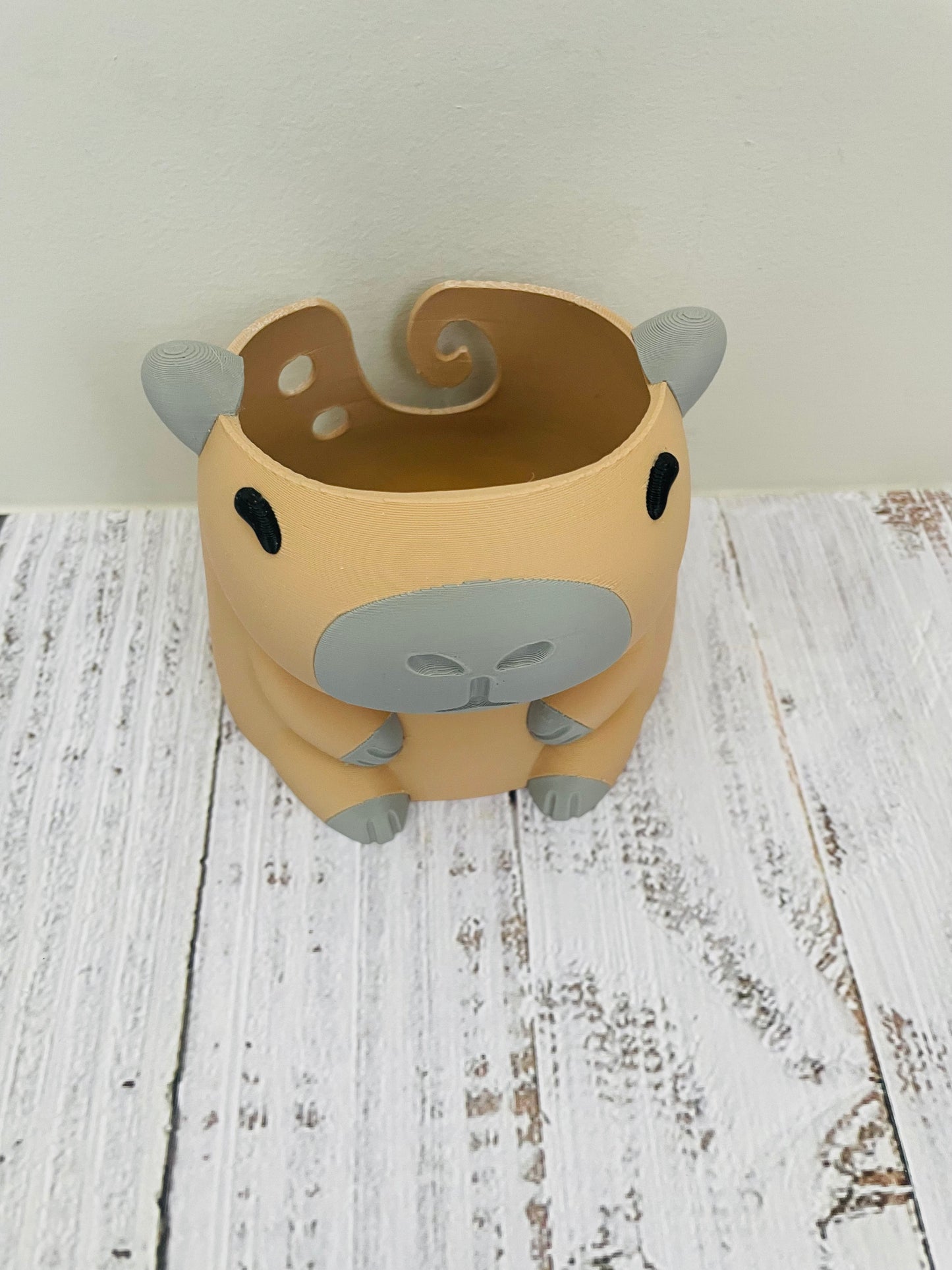 CUTIE CAPYBARA COLLECTION