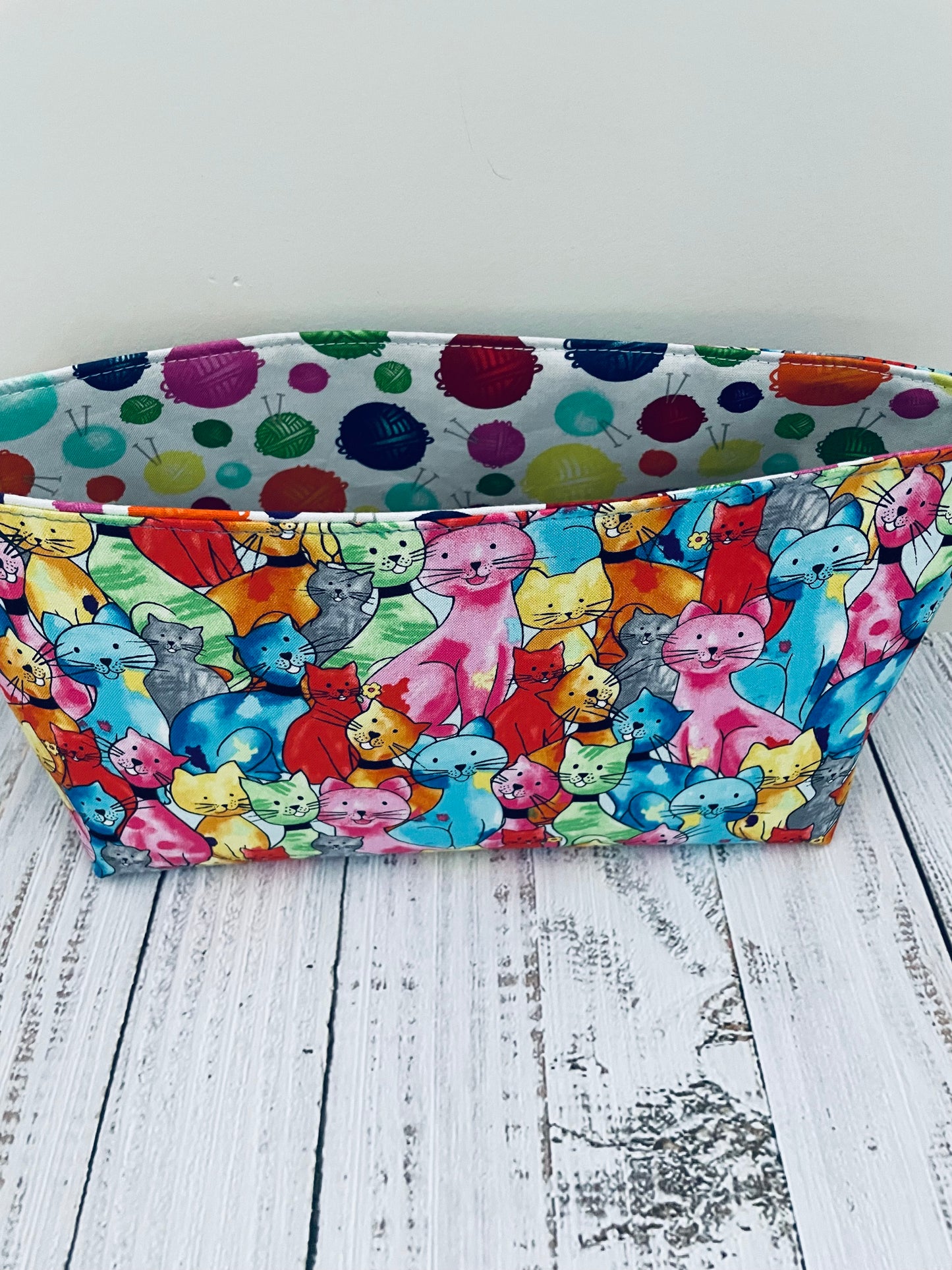 COLOURFUL CATS ....CAKE CADDY