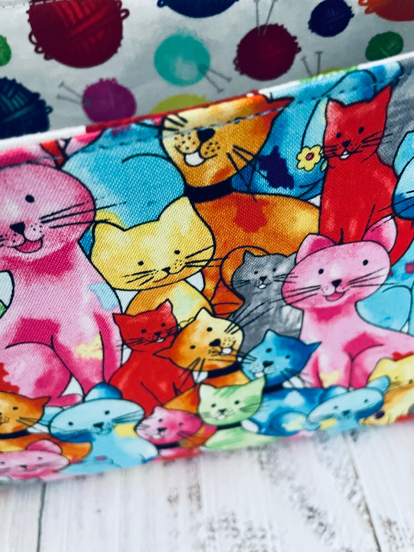 COLOURFUL CATS ....CAKE CADDY