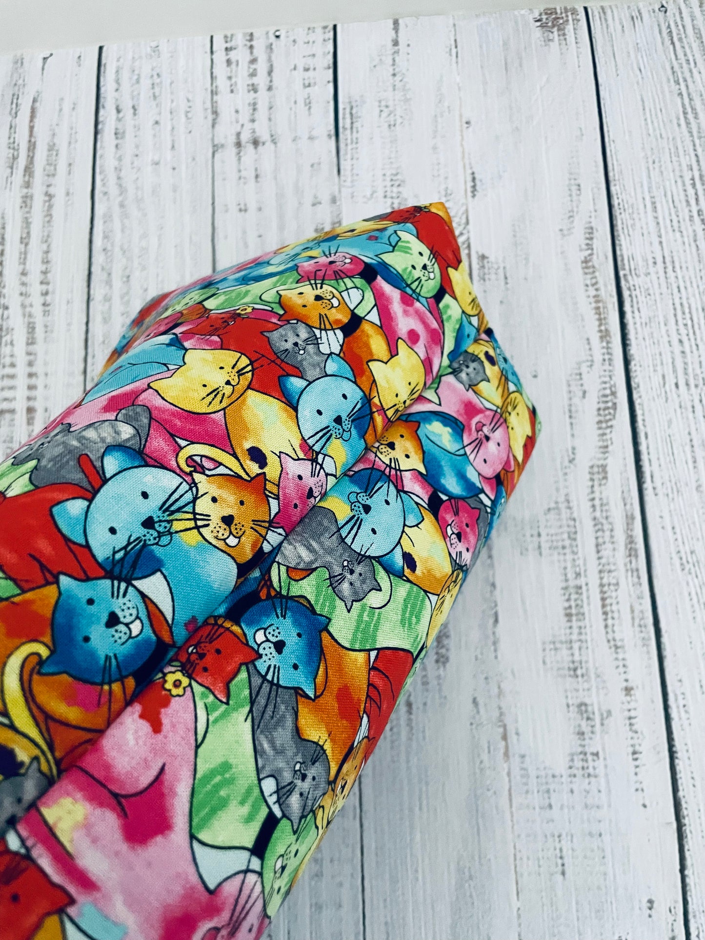 COLOURFUL CATS ....CAKE CADDY