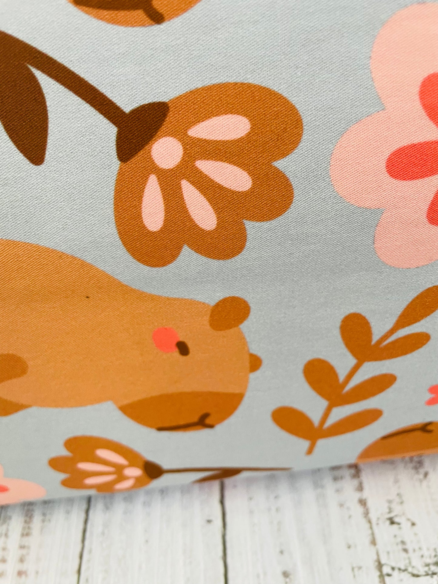 CUTIE CAPYBARA COLLECTION