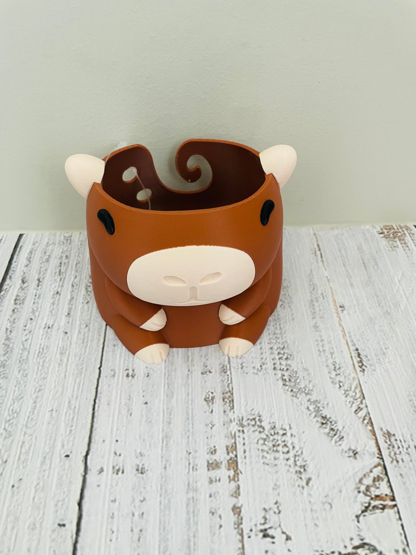 CUTIE CAPYBARA COLLECTION
