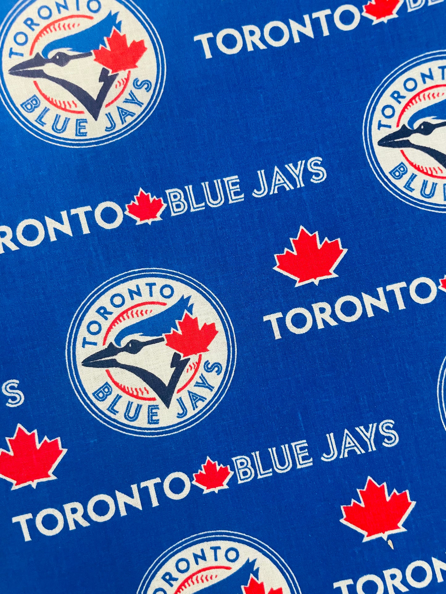 BLUE JAY BIRD INSPIRED  LARGE  STITCHING BAG