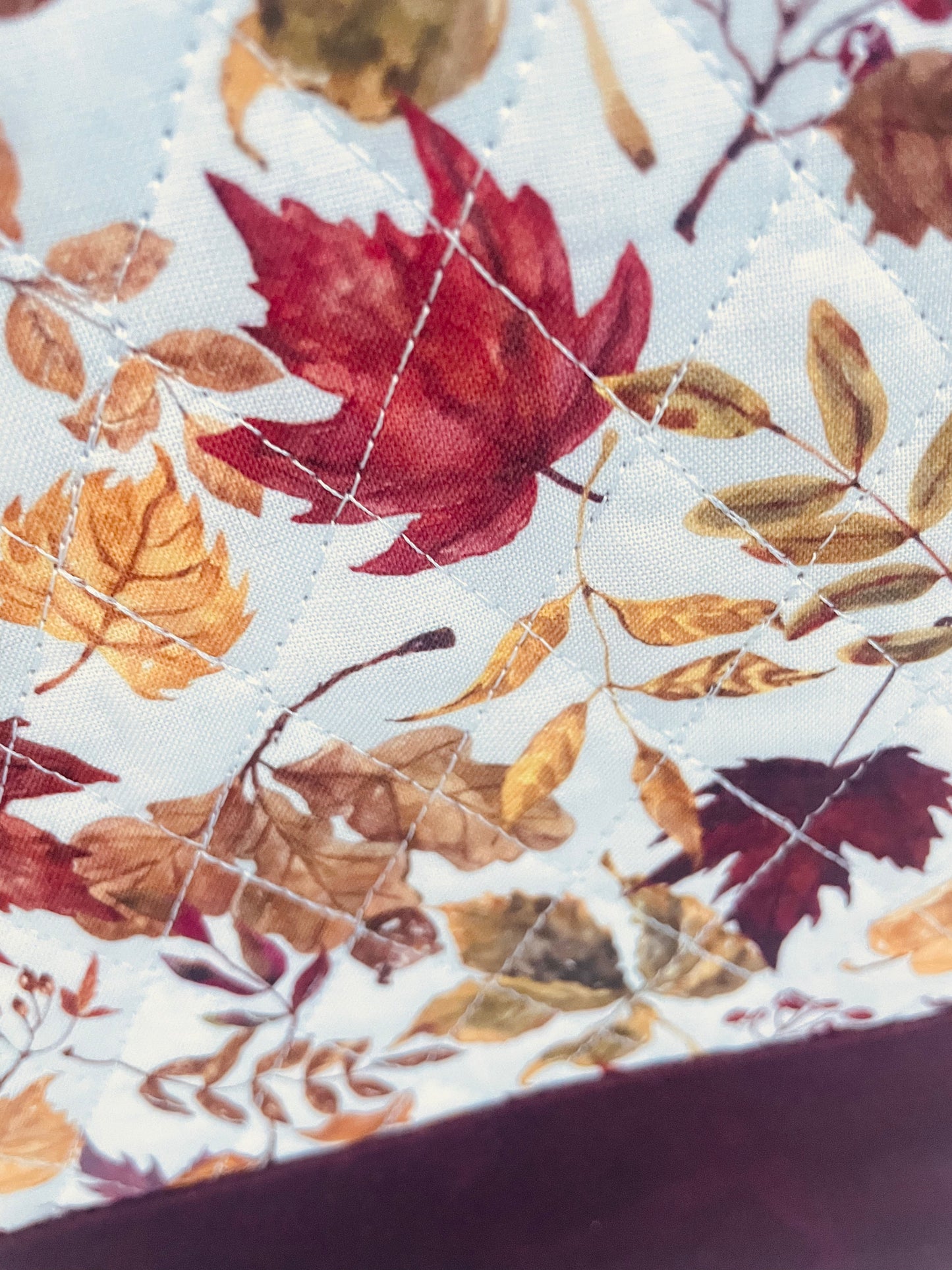 PUMPKIN SPICE & AUTUMN SKIES BAG & MINISNAP SETS