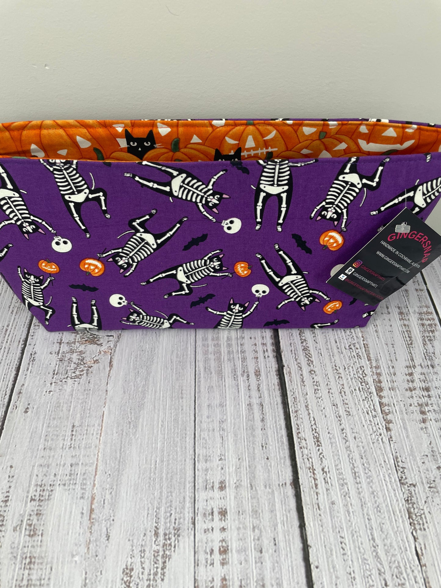 CAT SKELETON    ....CAKE CADDY...GLOWS IN THE DARK , ACTIVATE BY NATURAL LIGHT