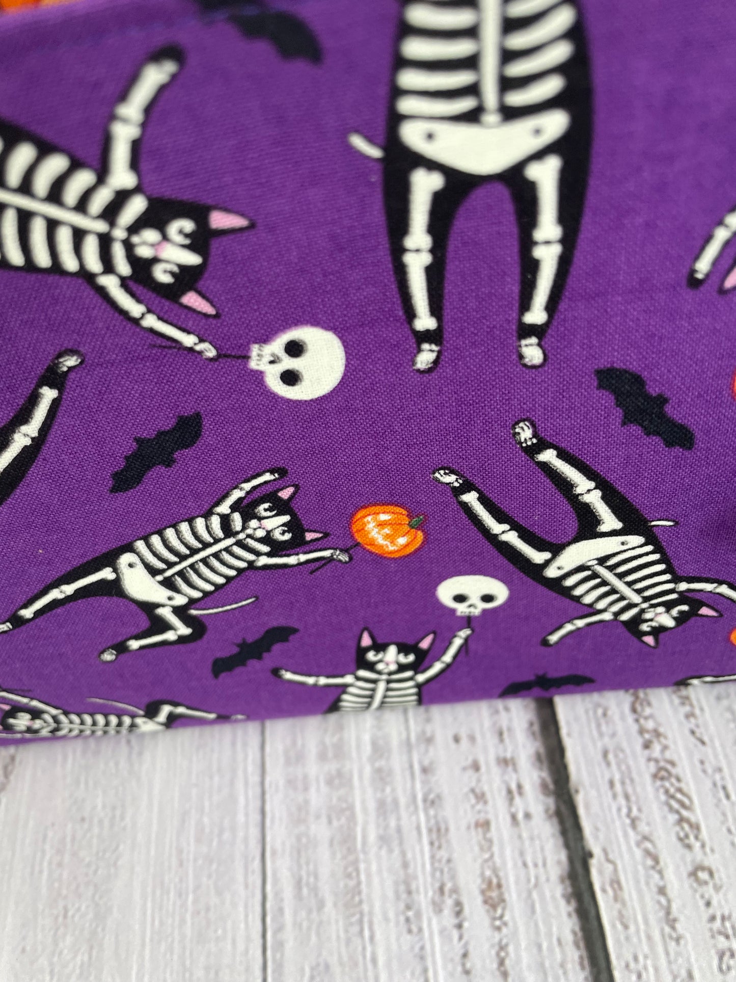CAT SKELETON    ....CAKE CADDY...GLOWS IN THE DARK , ACTIVATE BY NATURAL LIGHT