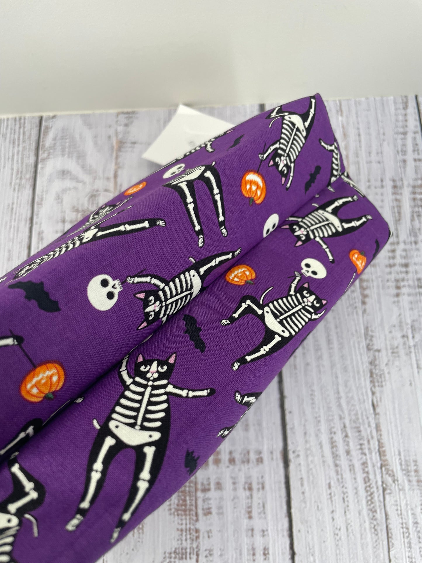 CAT SKELETON    ....CAKE CADDY...GLOWS IN THE DARK , ACTIVATE BY NATURAL LIGHT