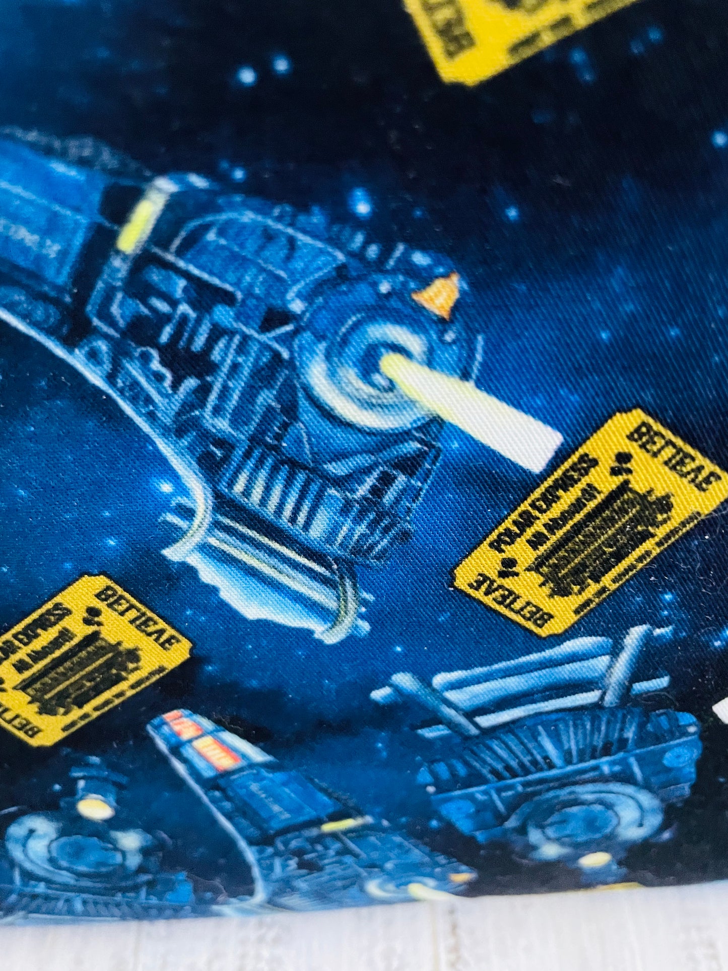 HOLIDAY TRAIN   Lifestyle bag (soft no wire  , but interfaced) CUSTOM PRINT