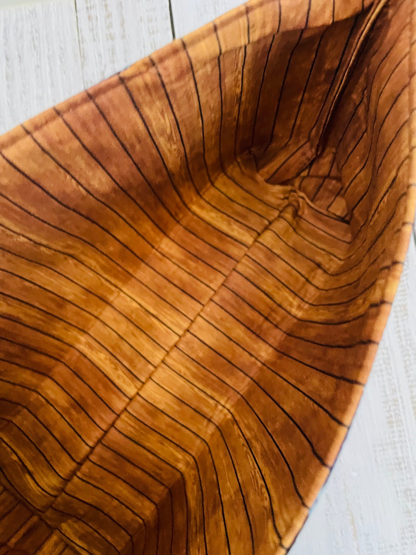 HOLIDAY TRAIN  ....CAKE CADDY......CUSTOM PRINT