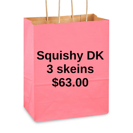 SQUISHY DK  WEIGHT 3 SKEIN MYSTERY BAG