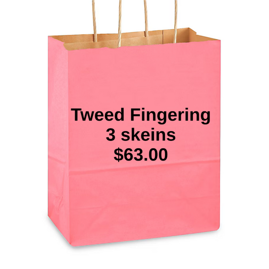 TWEED  FINGERING WEIGHT 3 SKEIN MYSTERY BAG